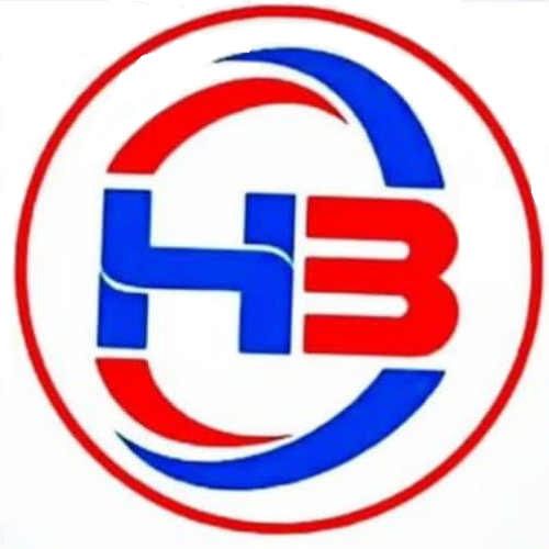 HB oil seal